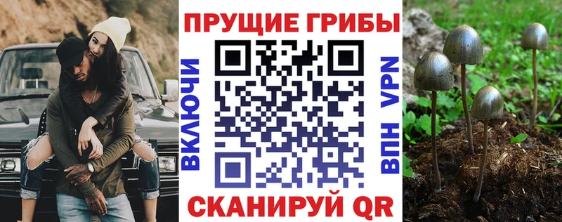 Галлюциногенные грибы мицелий  Кумертау 