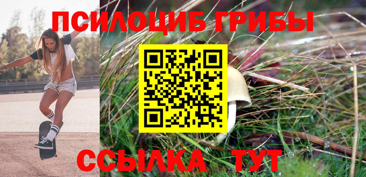 Псилоцибиновые грибы прущие грибы Кумертау