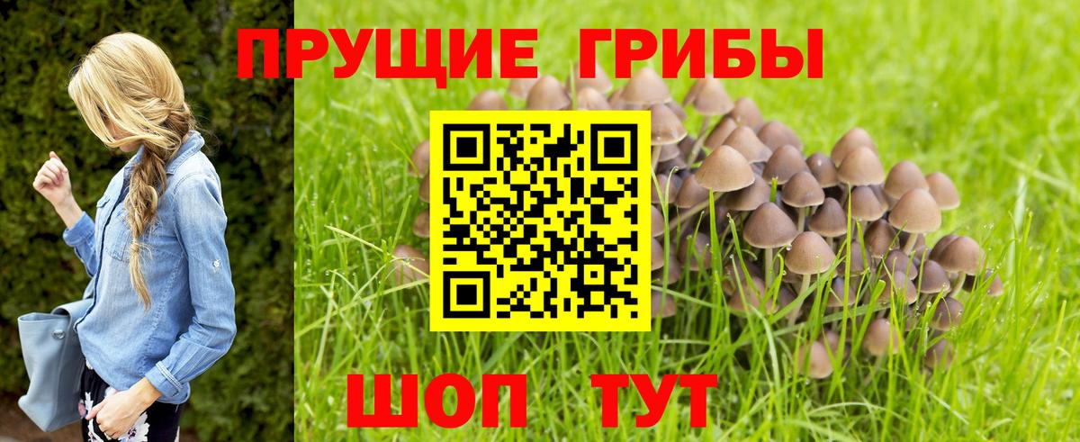 Экстази  Бошки Шишки  Мефедрон   Амфетамин   Гашиш  Вход с VPN  Кумертау  A-PVP СК кристаллы 