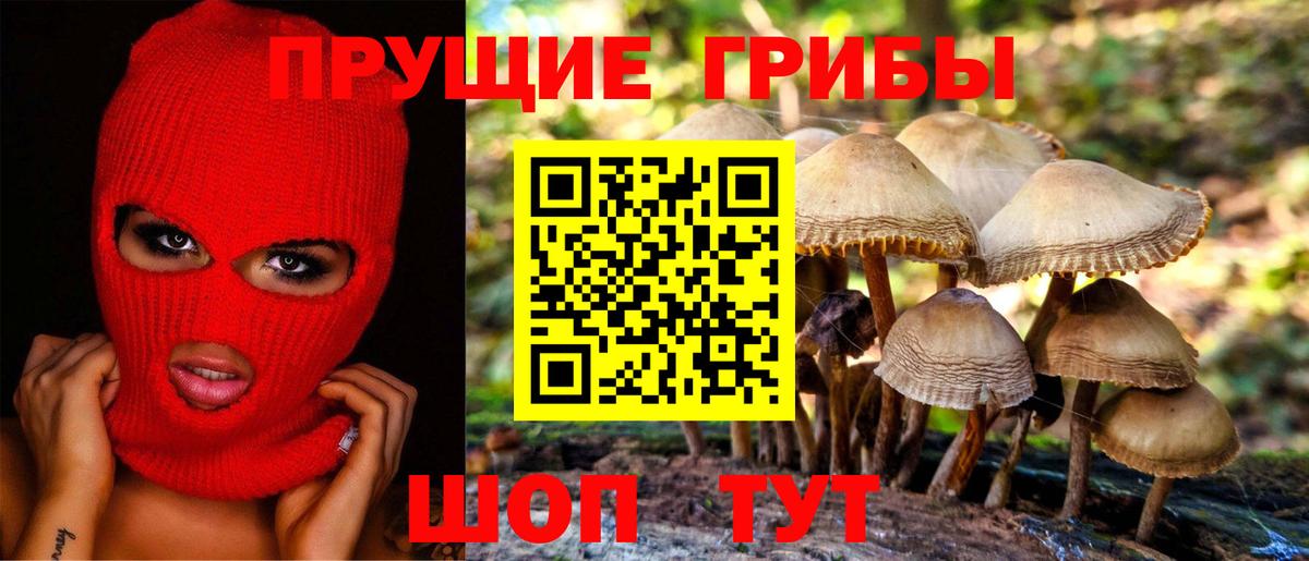 Кумертау  Псилоцибиновые грибы ЛСД  Вход с VPN  Псилоцибиновые грибы мухоморы 